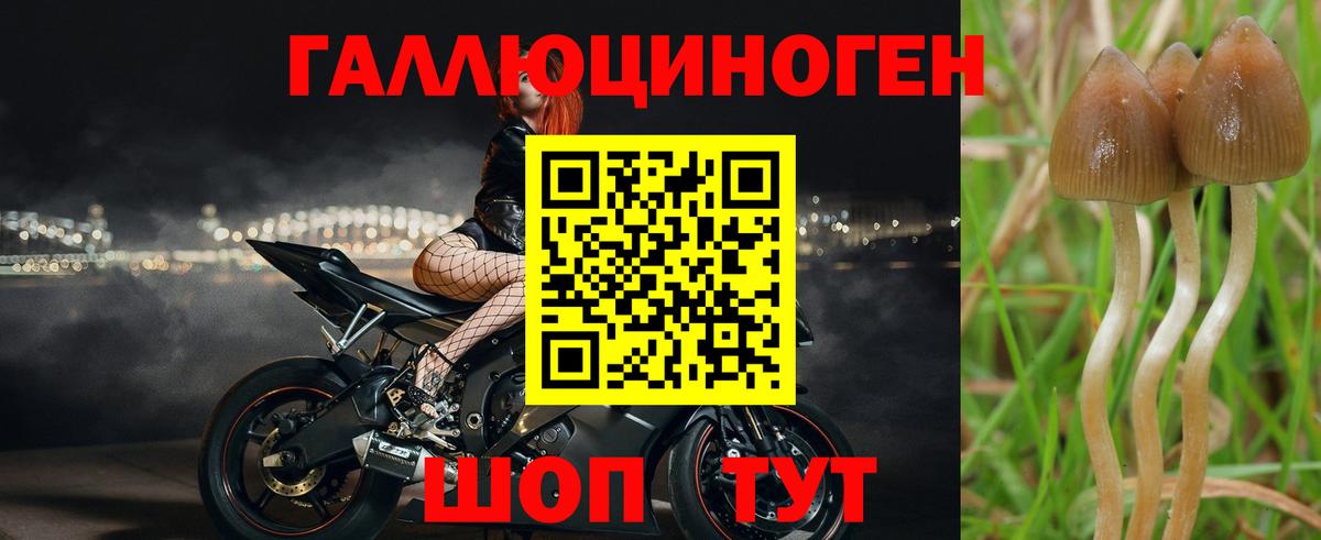 Псилоцибиновые грибы мухоморы  Галлюциногенные грибы Cubensis  Борисоглебск  Вход с VPN 